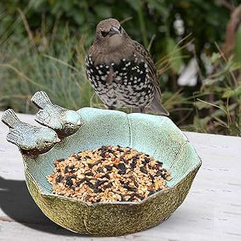 鳥の餌用焼き物　野鳥の餌台　中国 Amazon.co.jp: 鳥の餌入れ陶器、バードフィーダー 野鳥 バード